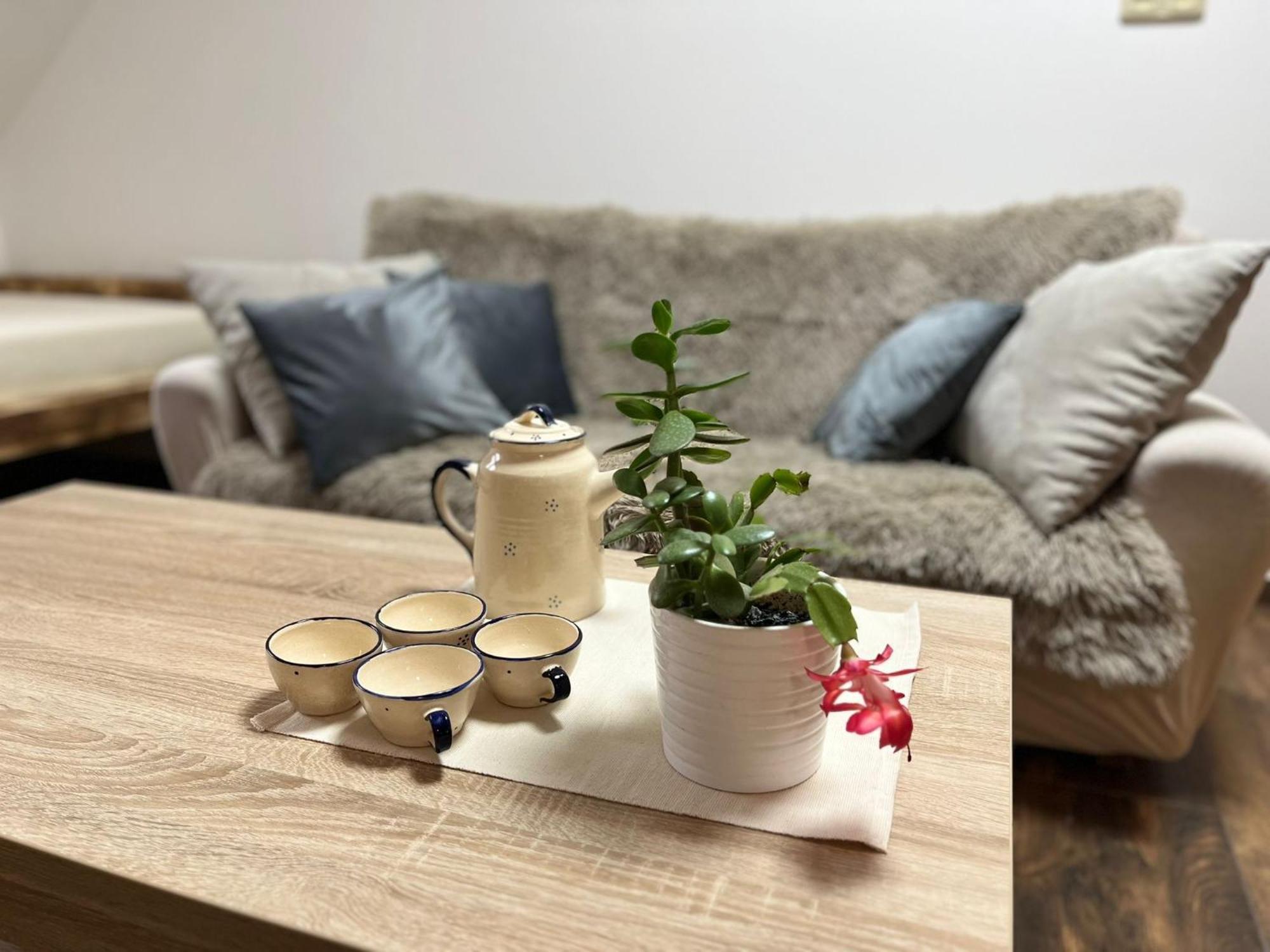 Apartman Kuga 米库洛夫 外观 照片